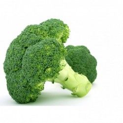 Brocoli