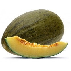 Melón piel de sapo